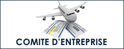 Comit&eacute; d&rsquo;entreprise